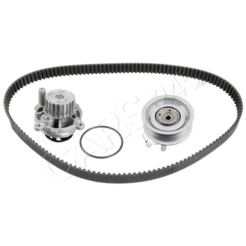 Swag timing belt - timing, +