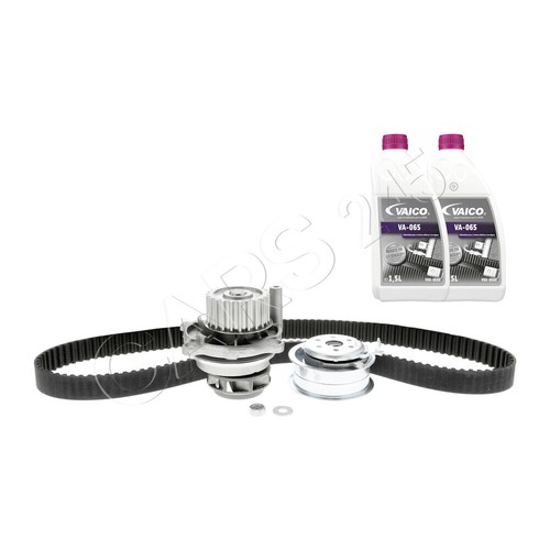 Water pump timing belt kit - belt,